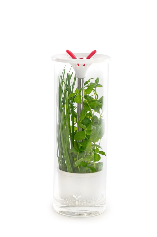 Veritable pojemnik na zioła transparentny A.ACC.CONS.0082.1