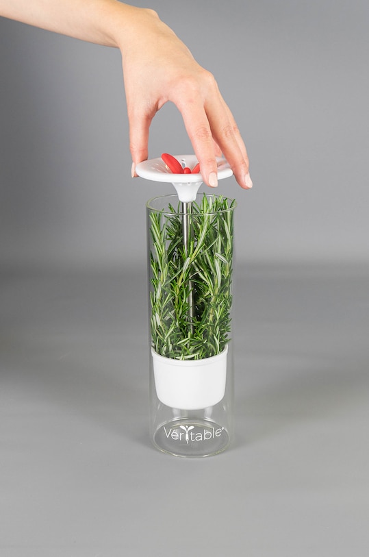 Veritable pojemnik na zioła transparentny A.ACC.CONS.0082.1