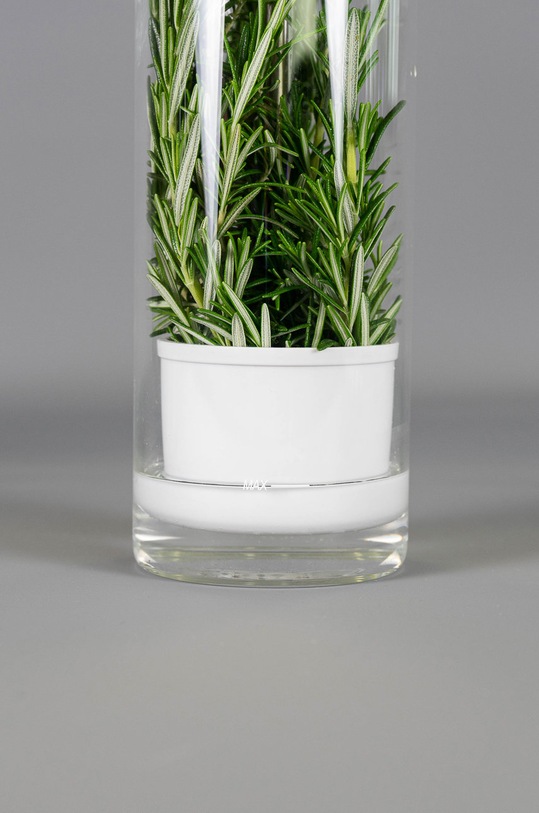 Veritable pojemnik na zioła A.ACC.CONS.0082.1