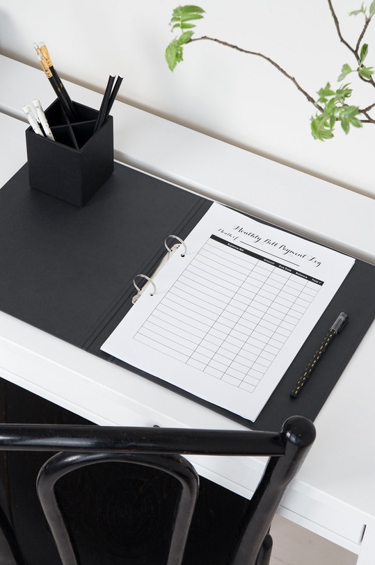 Bigso Box of Sweden Segregátor RINGO sivá 796145680