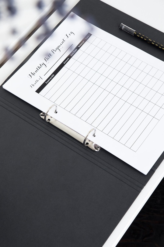 Bigso Box of Sweden Segregátor RINGO 796145680 sivá