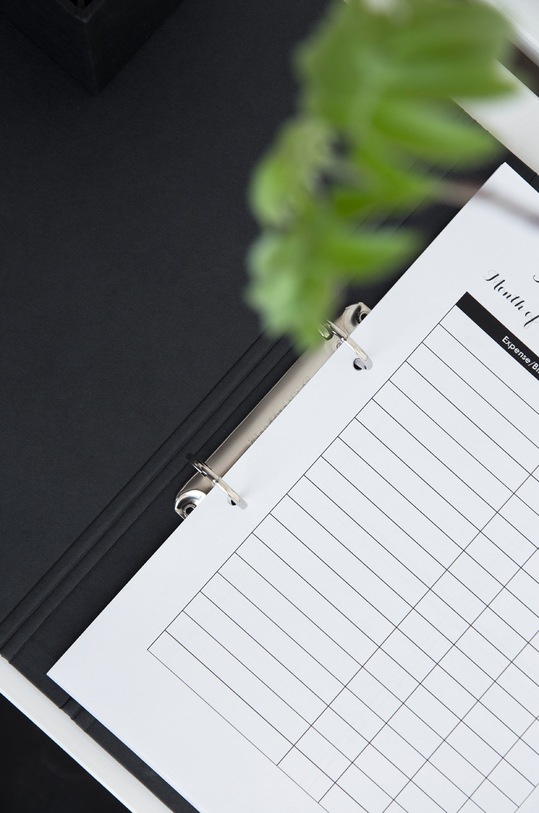 Bigso Box of Sweden Segregátor RINGO 796145680