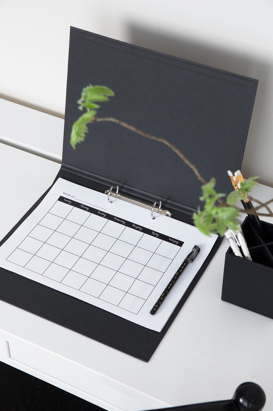 Bigso Box of Sweden Segregátor RINGO 796145680