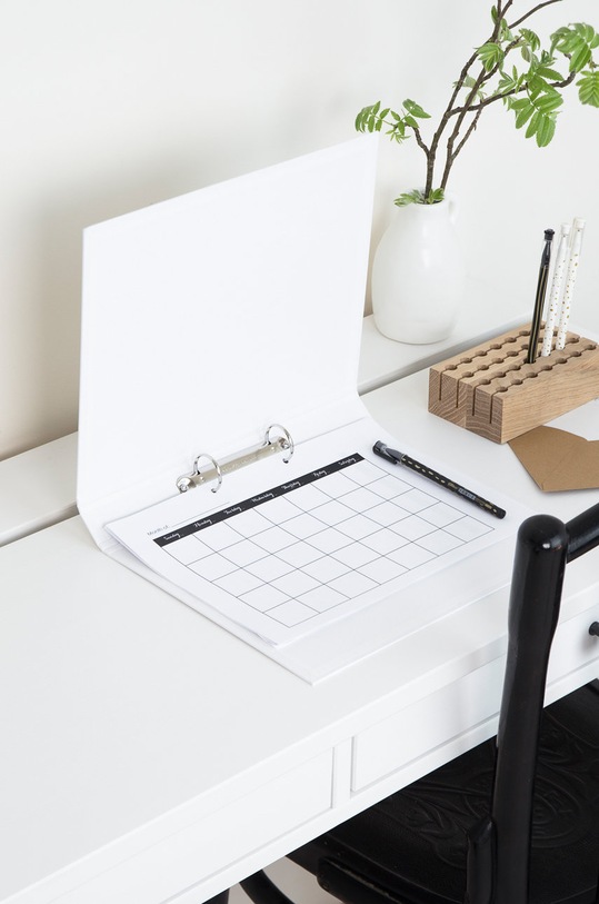 Bigso Box of Sweden Сегрегатор Ringo білий 796145580