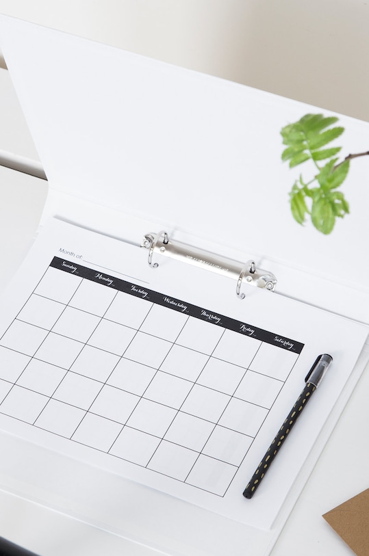 Bigso Box of Sweden Сегрегатор Ringo 796145580 білий