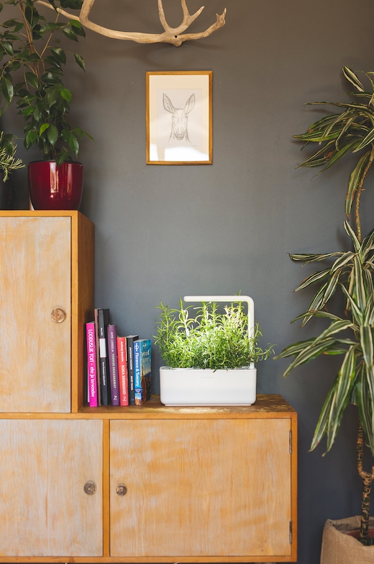 Click & Grow autonomiczny ogródek domowy Smart Garden 3 SG3WT