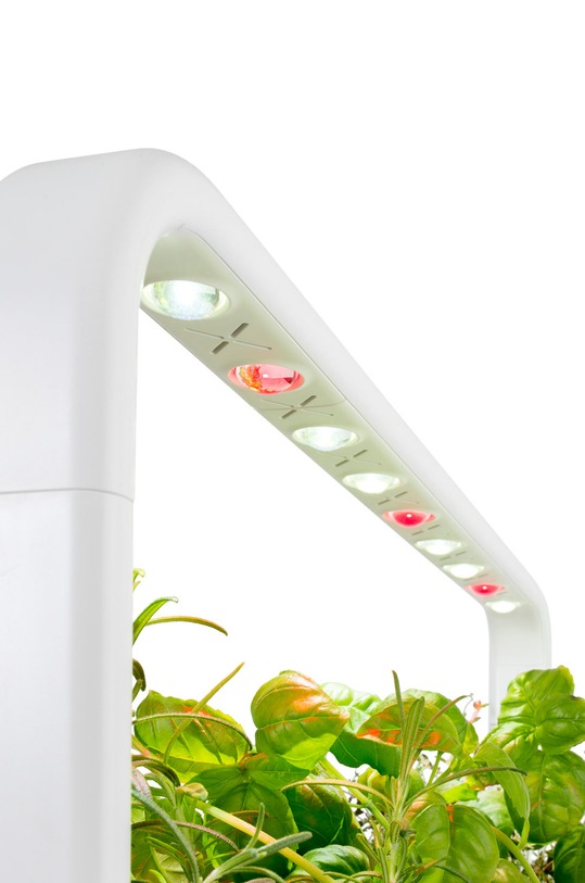 Вітальня та спальня Click & Grow Автономний домашній сад Smart Garden 9 SG9WT білий