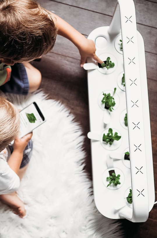 Click & Grow Автономний домашній сад Smart Garden 9 SG9WT