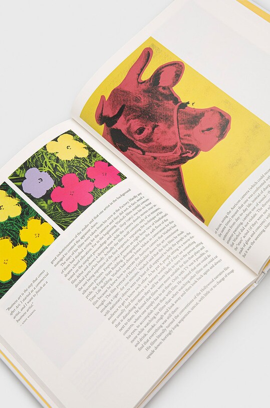 Kniha Taschen GmbH Warhol, Klaus Honnef 9783836543897 viacfarebná AA00