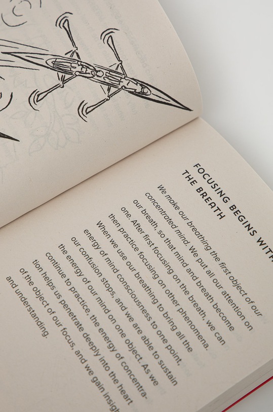 Книга Ebury Publishing 9781846046575 многоцветен AA00