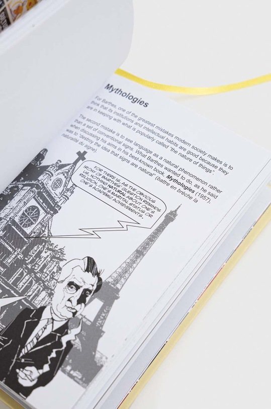 Decor Kniha Icon Books 9781785780028 viacfarebná