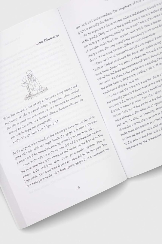 Legend Press Ltd carte The Wine Explorer, Graham Mitchell 9781789559378 multicolor AA00