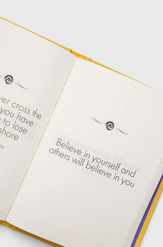 Knížka Legend Press Ltd The Little Book of Motivation, Seren James 9781789551198 vícebarevná AA00