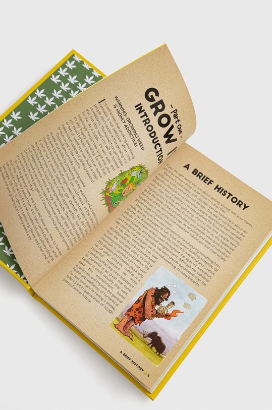 Ryland, Peters & Small Ltd libro Weed All About It, Danny Mallo 9781911026655 multicolore AA00