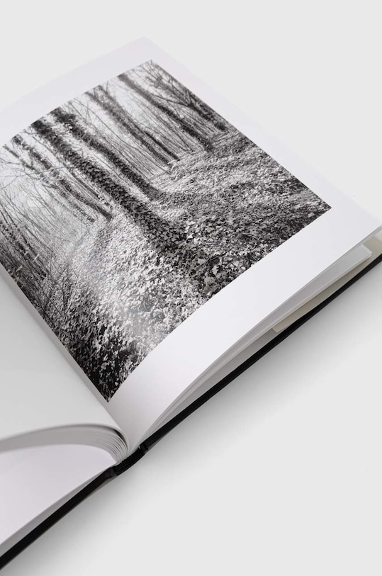 Ryland, Peters & Small Ltd książka Paris Park Photographs, Michael Kolster 9781938086885 multicolor AA00