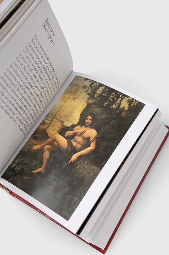 David & Charles książka Leonardo da Vinci, Leonardo da Vinci 9780715324530 multicolor AA00