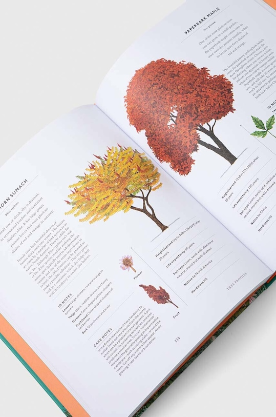 Dorling Kindersley Ltd książka RHS The Tree in My Garden, Kate Bradbury 9780241459751 multicolor AA00