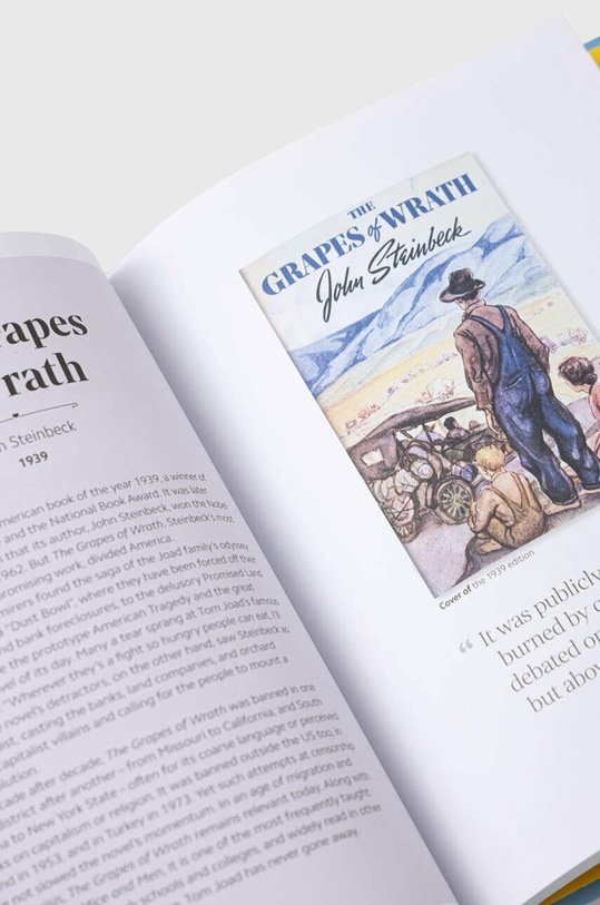 Dorling Kindersley Ltd książka Banned Books, DK 9780241536391 multicolor AA00