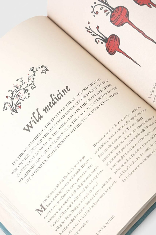 Lifestyle Ryland, Peters & Small Ltd książka The Witch of The Woods, Kiley Mann 9781800651692 multicolor