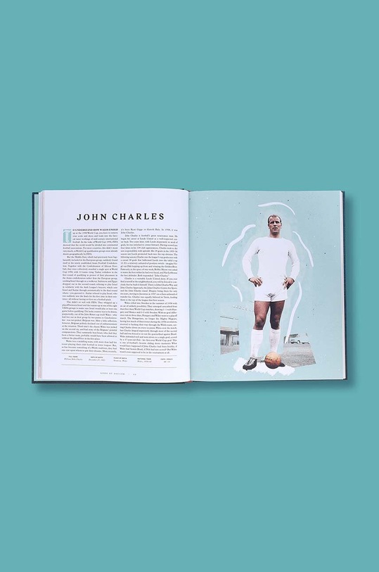 Książka Men in Blazers Present Gods of Soccer : The Pantheon of the 100 Greatest Soccer Players, Roger Bennett, Michael Davies, Miranda Davis multicolor AB1312