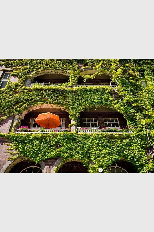 Книга QeeBoo Urban Oasis : Parks and Green Projects around the World, Jessica Jungbauer, English TE1174 барвистий AA00