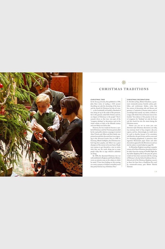 Knížka Downton Abbey Christmas Cookbook by Regula Ysewijn, English vícebarevná NM1071