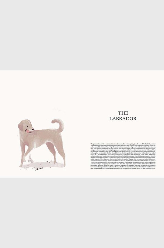 Книга DOG - Stories of Dog Ownership by Julian Victoria, English HG1130 барвистий AA00