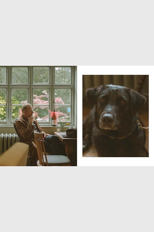 Книга DOG - Stories of Dog Ownership by Julian Victoria, English барвистий HG1130