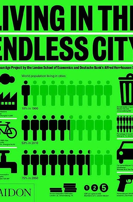 Книга Taschen Living in the Endless City by Ricky Burdett in English барвистий PH1263