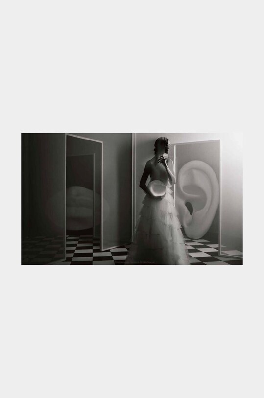 Книга home & lifestyle Her Dior by Maria Grazia Chiuri, Maria Luisa Frisa, English RI1197