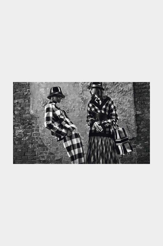 Knjiga Home & Lifestyle Her Dior by Maria Grazia Chiuri, Maria Luisa Frisa, English RI1197