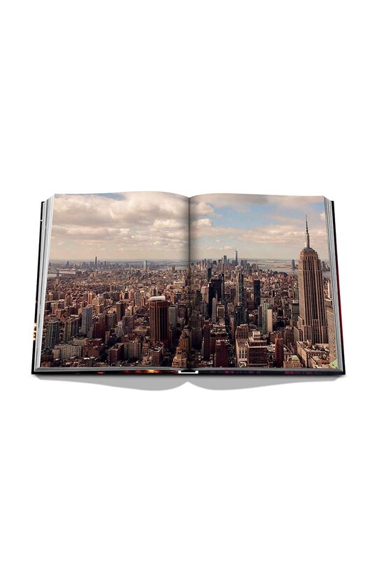 Assouline książka New York Chic by Armand Limnander, English multicolor 9781649802309