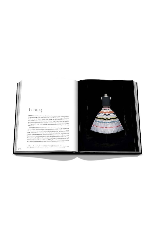 Knjiga Assouline Dior by Raf Simons byTim Blanks, English 9781649800213