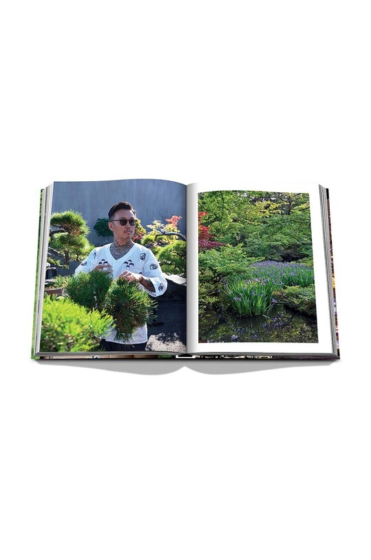 Assouline książka Tokyo Chic by Andrea Fazzari, English 9781649802361