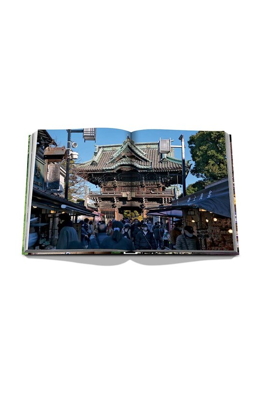Assouline książka Tokyo Chic by Andrea Fazzari, English 9781649802361
