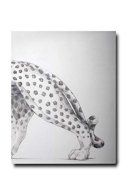 Assouline libro Cartier Panthere by Vivienne Becker, English 9781614284284 multicolore AA00