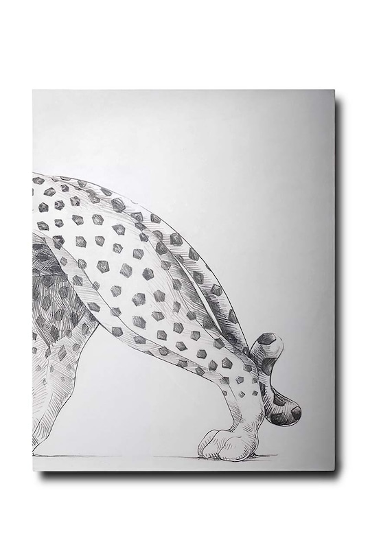 Kniha Assouline Cartier Panthere by Vivienne Becker, English 9781614284284 viacfarebná AA00