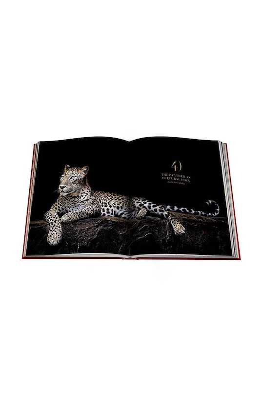 Kniha Assouline Cartier Panthere by Vivienne Becker, English 9781614284284