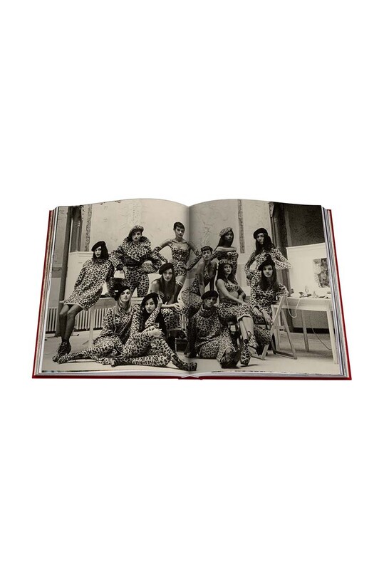 Assouline książka Cartier Panthere by Vivienne Becker, English 9781614284284