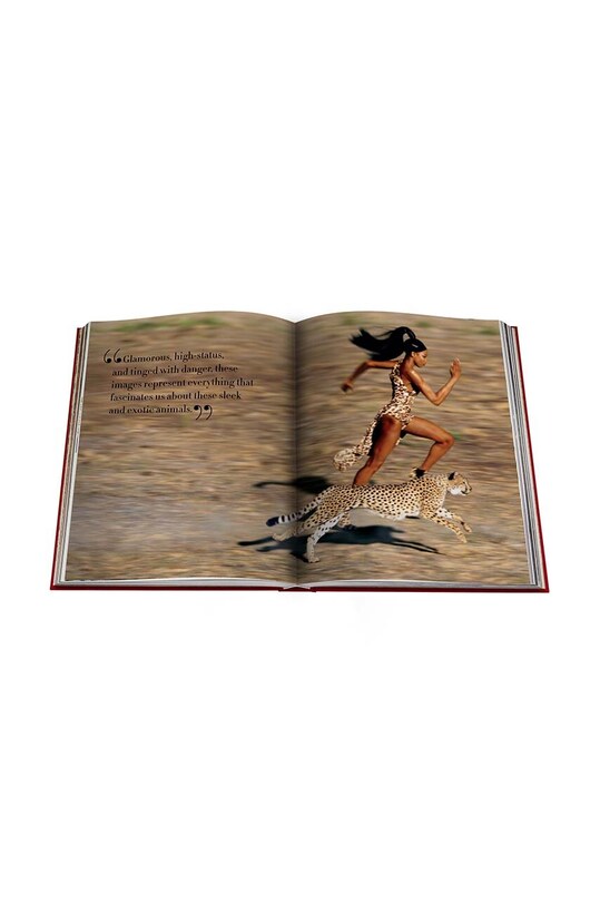 Kniha Assouline Cartier Panthere by Vivienne Becker, English 9781614284284