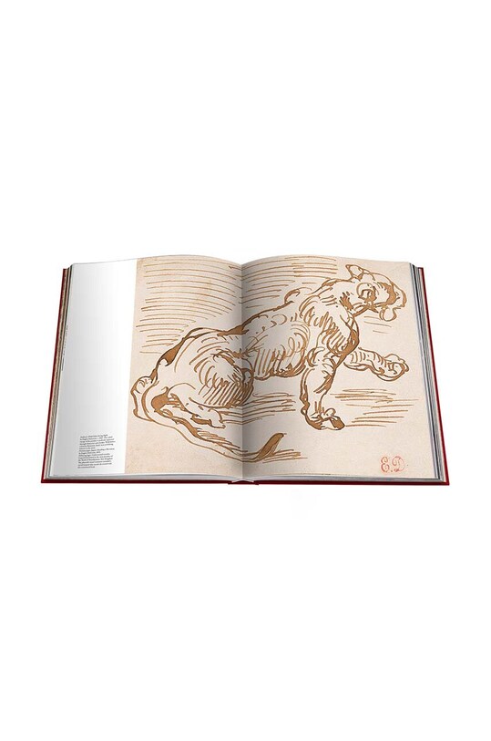 Assouline książka Cartier Panthere by Vivienne Becker, English 9781614284284