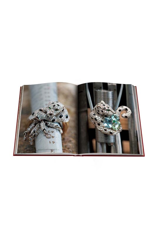 Assouline książka Cartier Panthere by Vivienne Becker, English 9781614284284