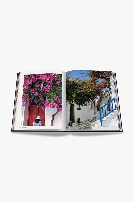 Βιβλίο Assouline Mykonos Muse by Lizy Manola, English 9781614286905
