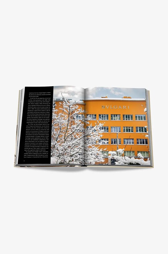 Knížka Assouline Bulgari Beyond Time by John Goldberger, English 9781649802316 vícebarevná
