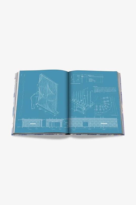 Assouline carte Louis Vuitton Skin: Singapure by Paul Goldberger, English multicolor 9781649802811