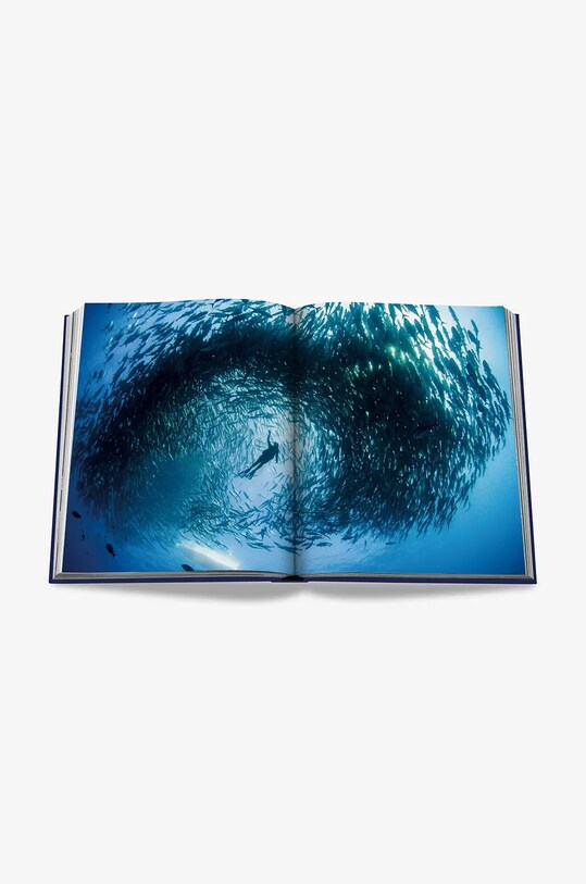 Assouline carte Ocean Wanderlust by Kevin Koenig, English 9781649802644 multicolor