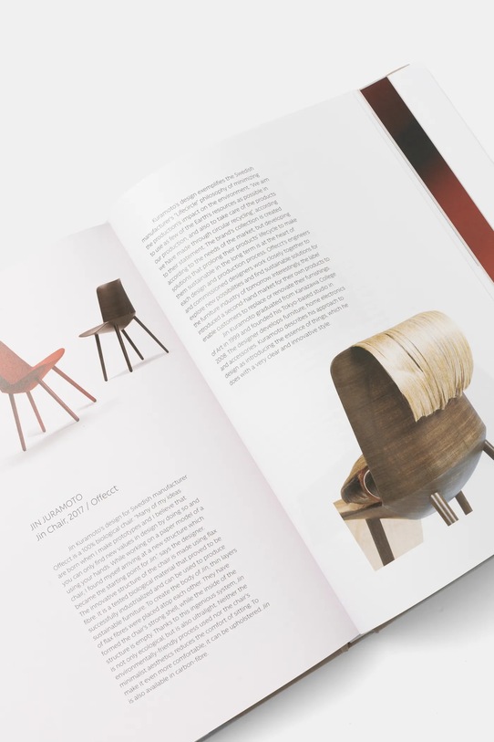 Kniha home & lifestyle 10 Principles of Good Design Today by Agata Toromanoff, English 9789887506959 biela AA00