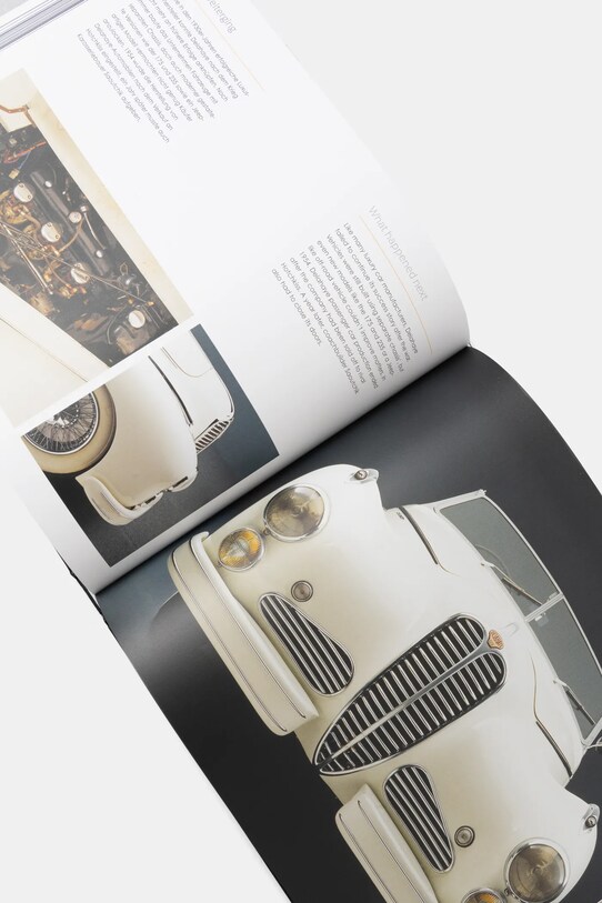 home & lifestyle könyv Lost Beauties by Axel E. Catton, English 9783961713394 fekete AA00