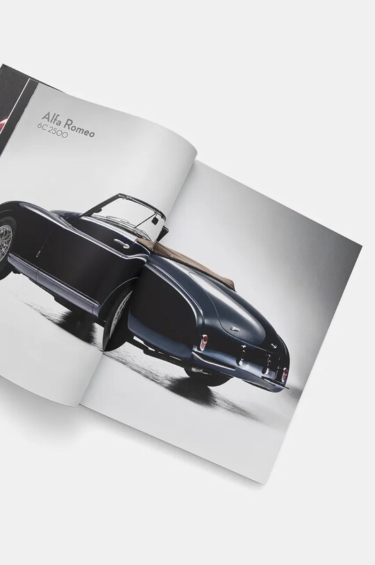 Βιβλίο home & lifestyle Classic Cars Book by Rene Staud, English 9783832733858 μαύρο AA00
