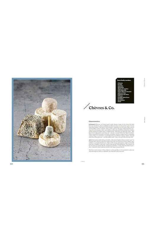 home & lifestyle książka The Complete Book of Cheese by Anne-Laure Pham, English TH1707 multicolor AA00